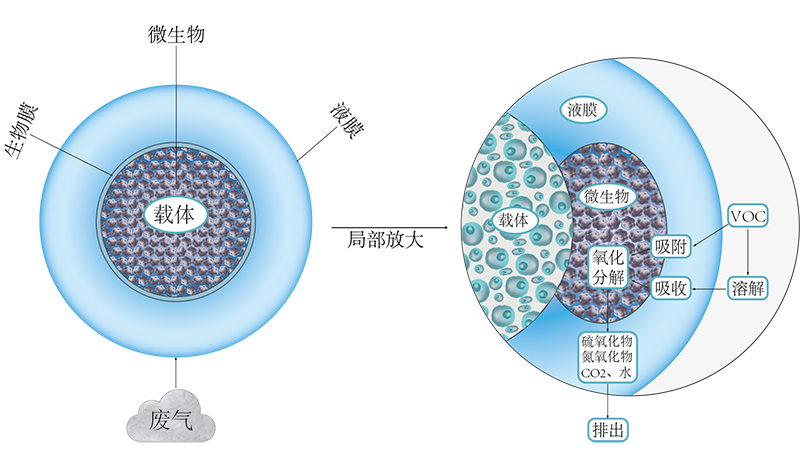 日韩痴汉电车无码AV